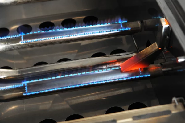 Gfd Hot Surface Ignition System Lighting