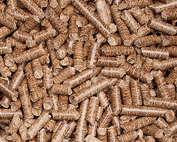 Pellets Cropped 1520x.jpg