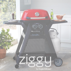 Ziggy Grill Covers