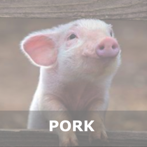 Pork Rubs